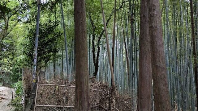 伏見神宝神社(参道)